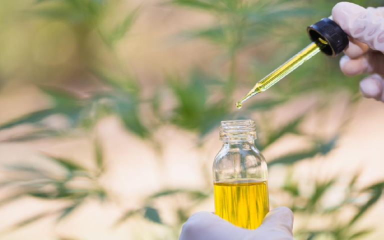 Learn How Effective Is CBD for Treating Leukemia