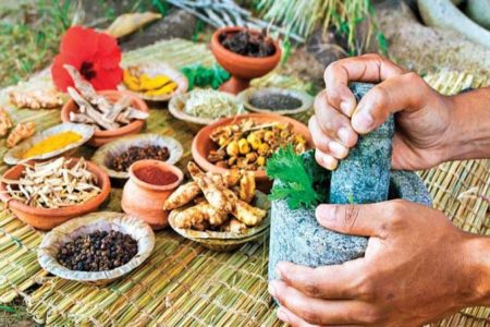 Bringing Ayurveda & Modern Medicine