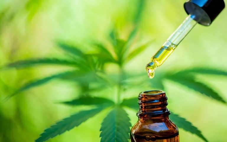 Cannabidiol Oil