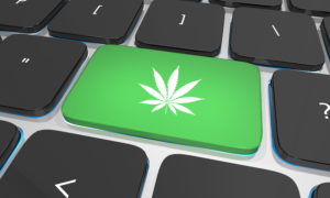 Medical Cannabis Cards Online